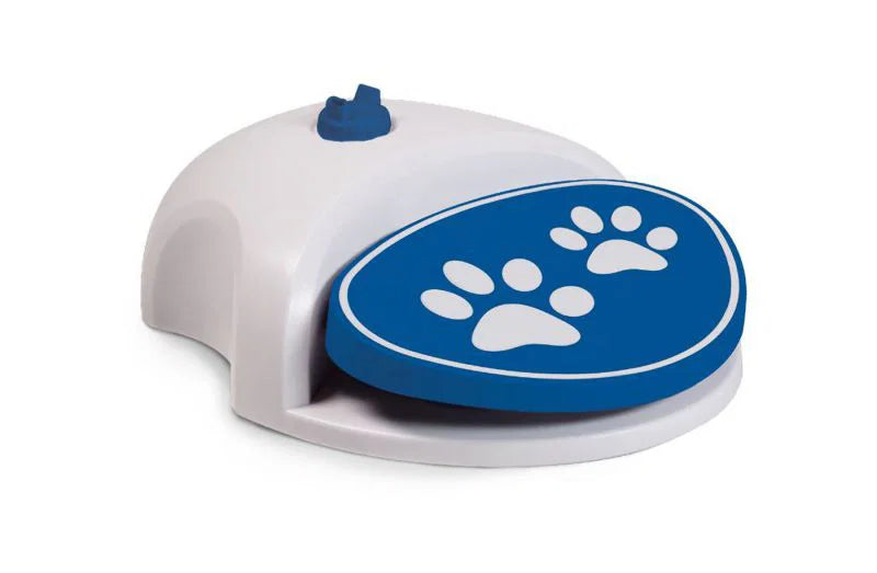 CoolPets Splash Wasser-Fontaine - Hundespielzeug