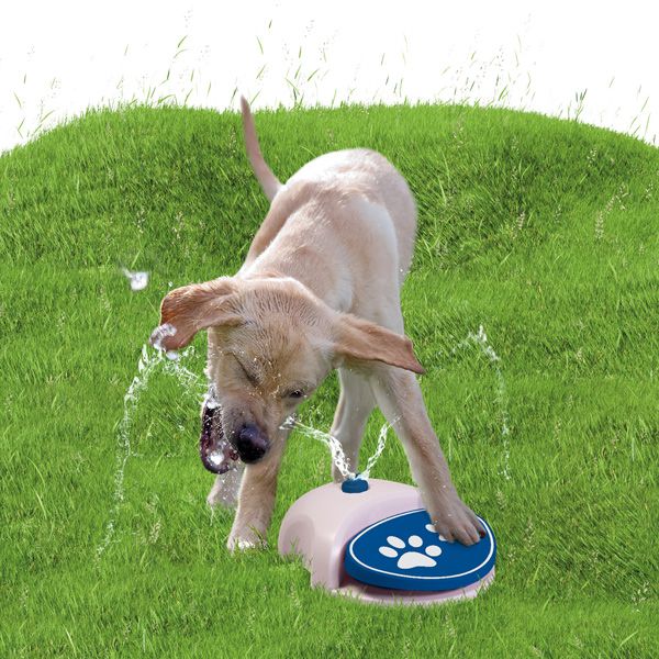 CoolPets Splash Wasser-Fontaine - Hundespielzeug