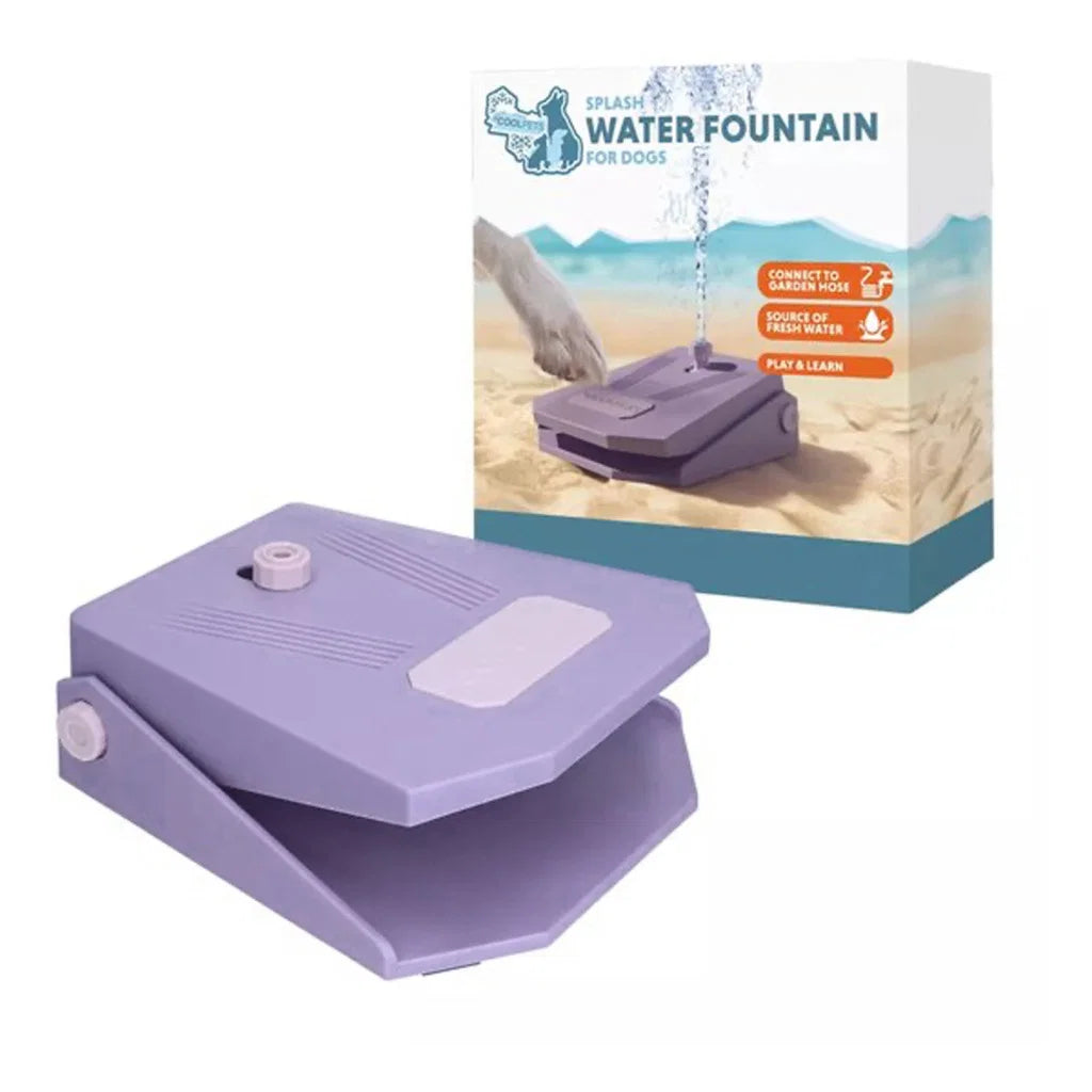 CoolPets Splash Wasser-Fontaine - Hundespielzeug