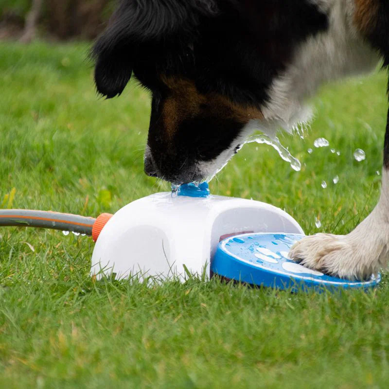 CoolPets Splash Wasser-Fontaine - Hundespielzeug