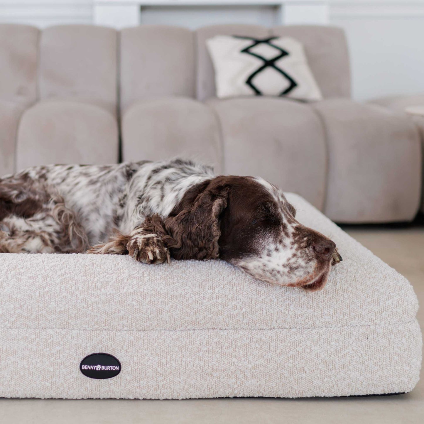 Hundebett Barklay Größe M mit Bouclébezug