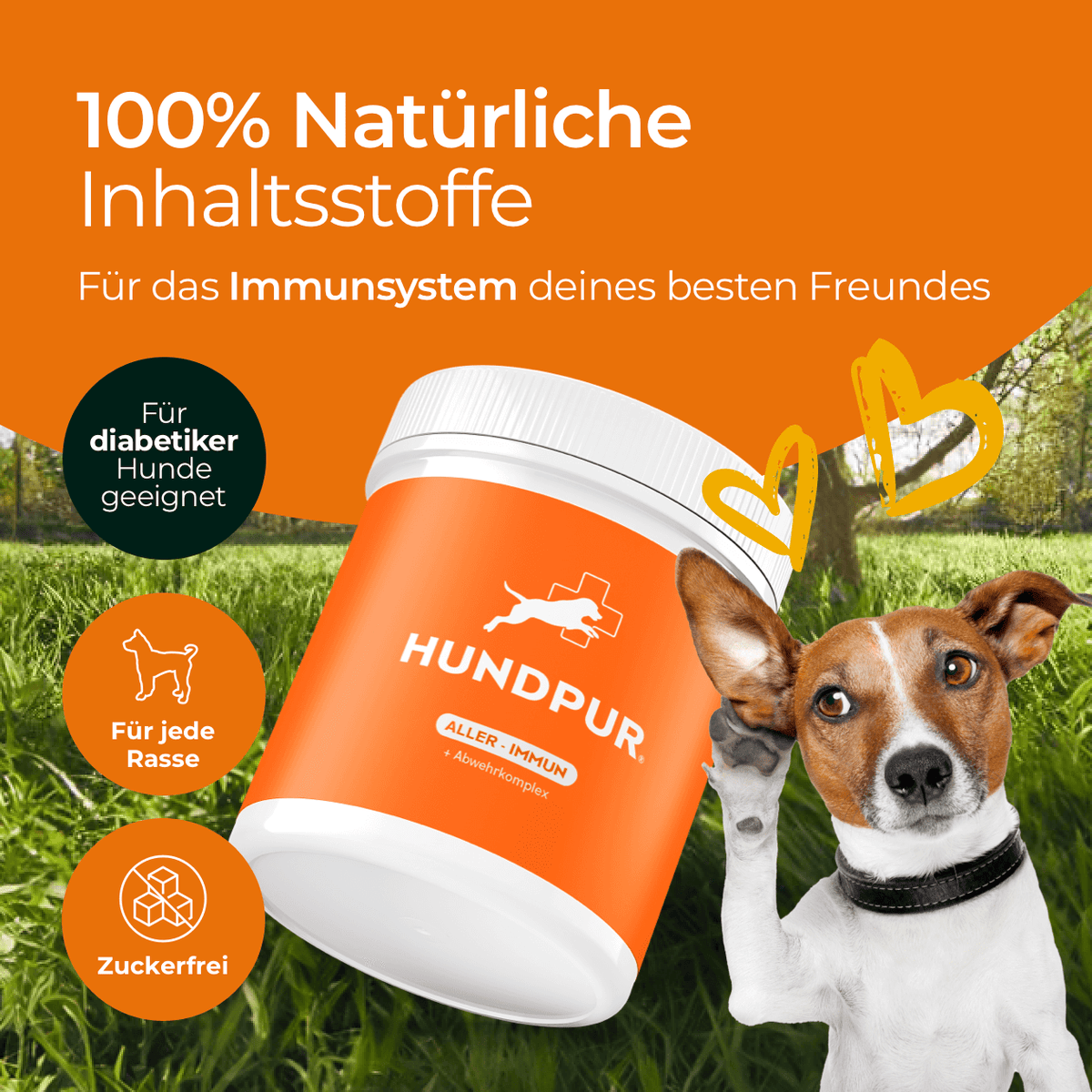 Hundpur® Aller-Immun mit Abwehr-Komplex - Nahrungsergänzung