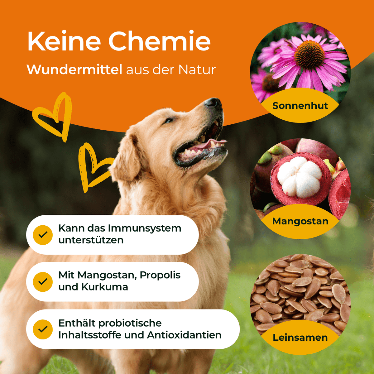 Hundpur® Aller-Immun mit Abwehr-Komplex - Nahrungsergänzung