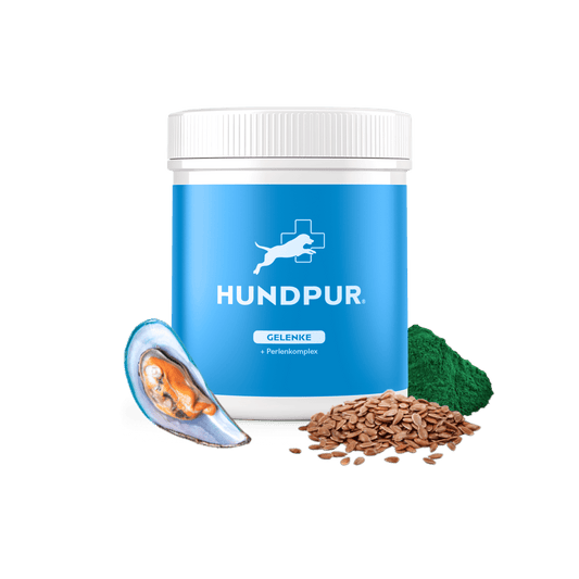 Hundpur® Gelenke mit Grünlippmuschel - Nahrungsergänzung