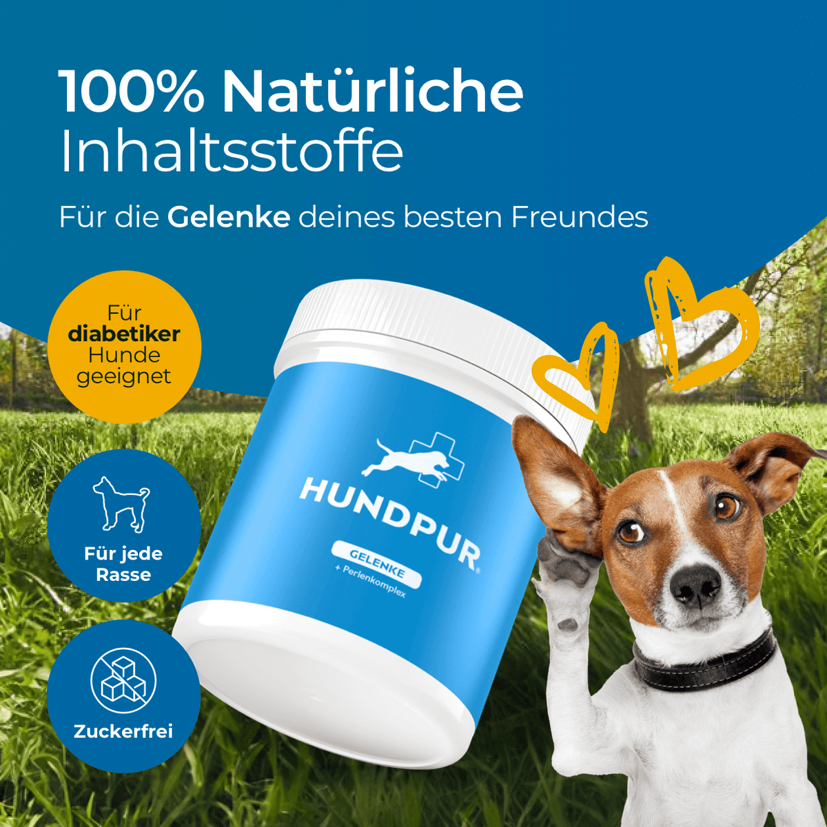 Hundpur® Gelenke mit Grünlippmuschel - Nahrungsergänzung