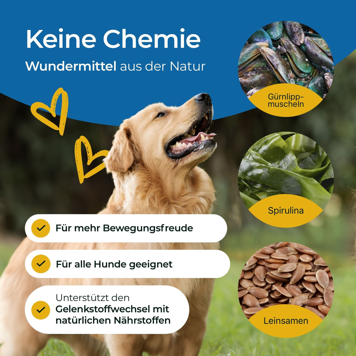 Hundpur® Gelenke mit Grünlippmuschel - Nahrungsergänzung