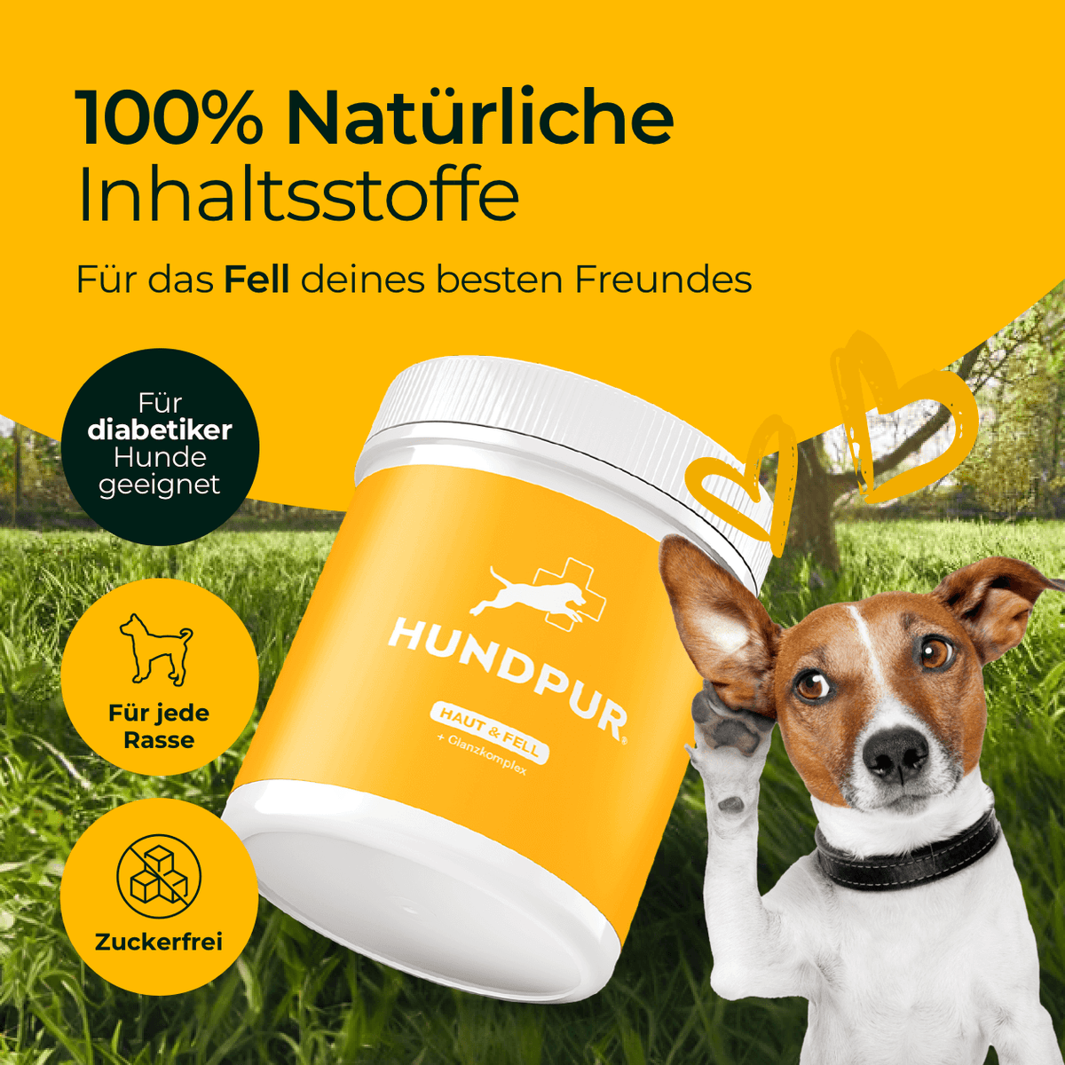 Hundpur® Haut und Fell - Nahrungsergänzung