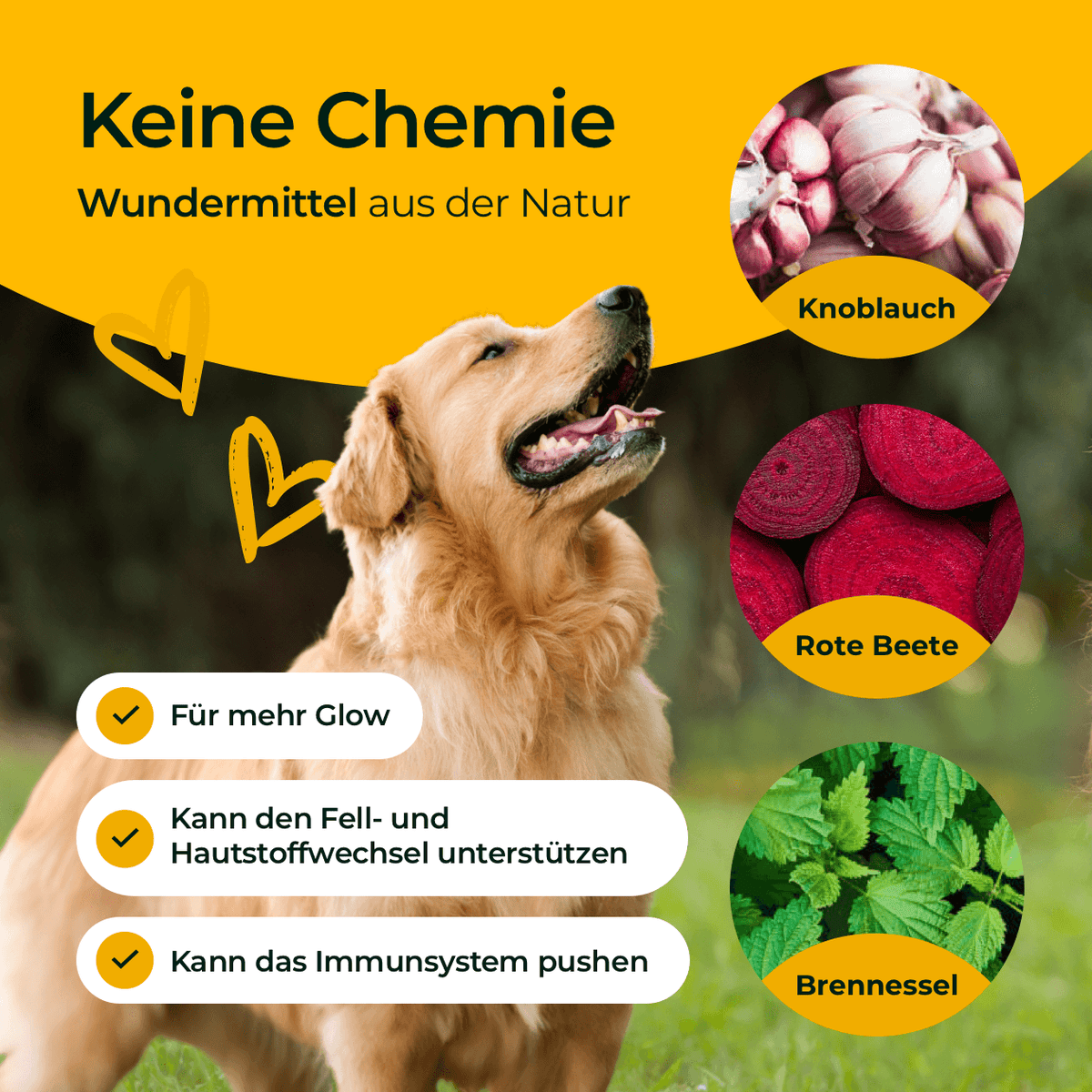 Hundpur® Haut und Fell - Nahrungsergänzung
