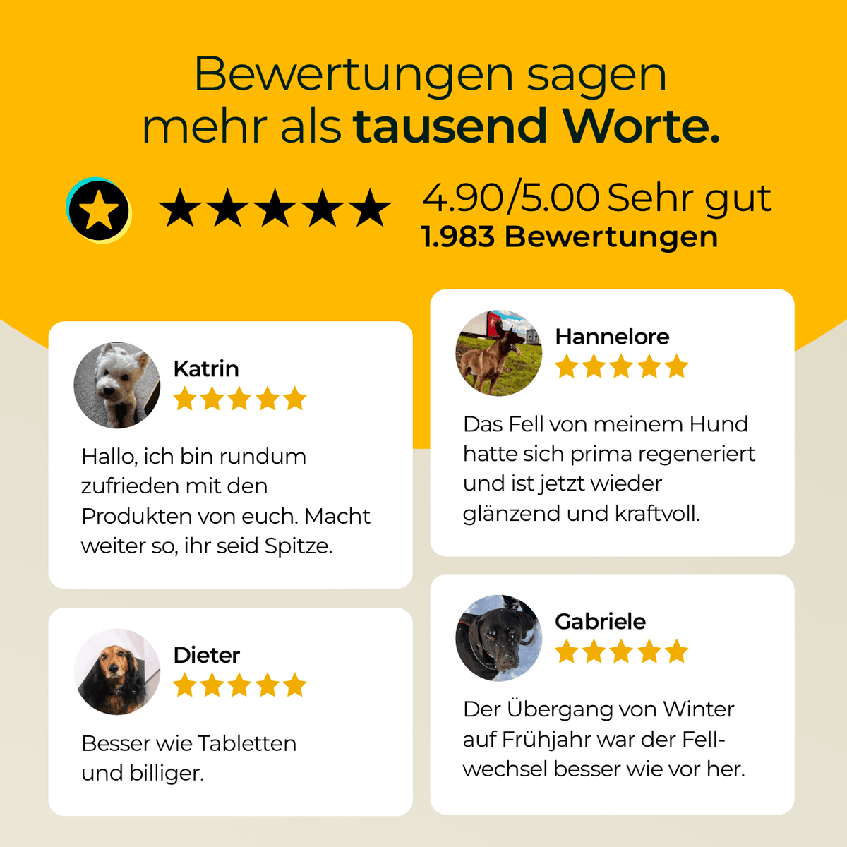 Hundpur® Haut und Fell - Nahrungsergänzung