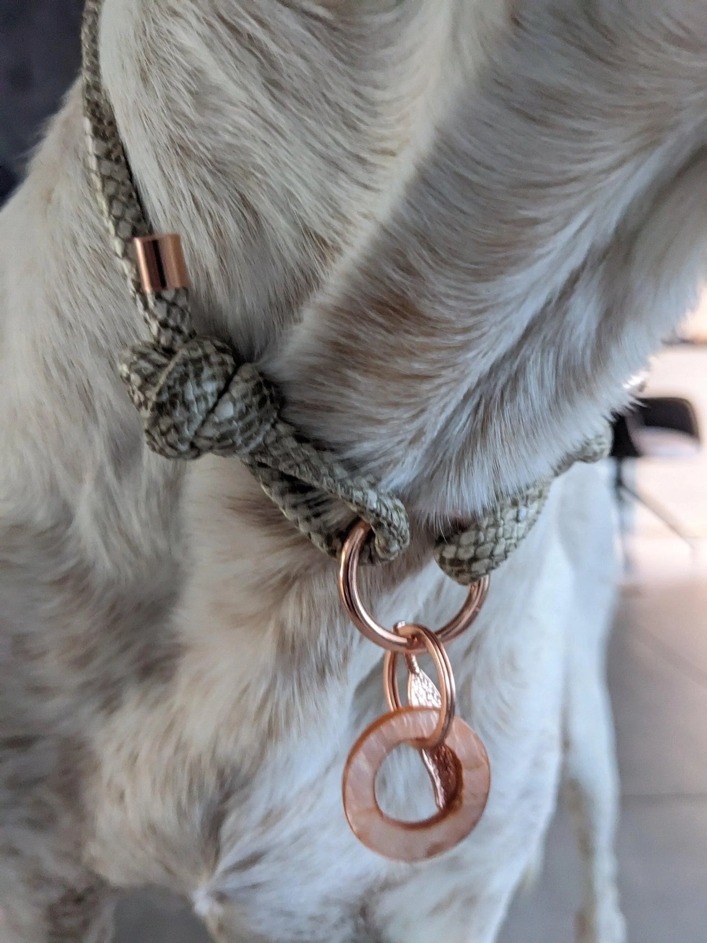 Markenhalsband aus Kunstleder verstellbar in Creme Beige