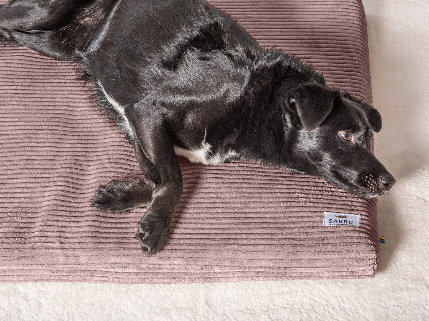 Hundeliegematte JOKKMOKK Cord