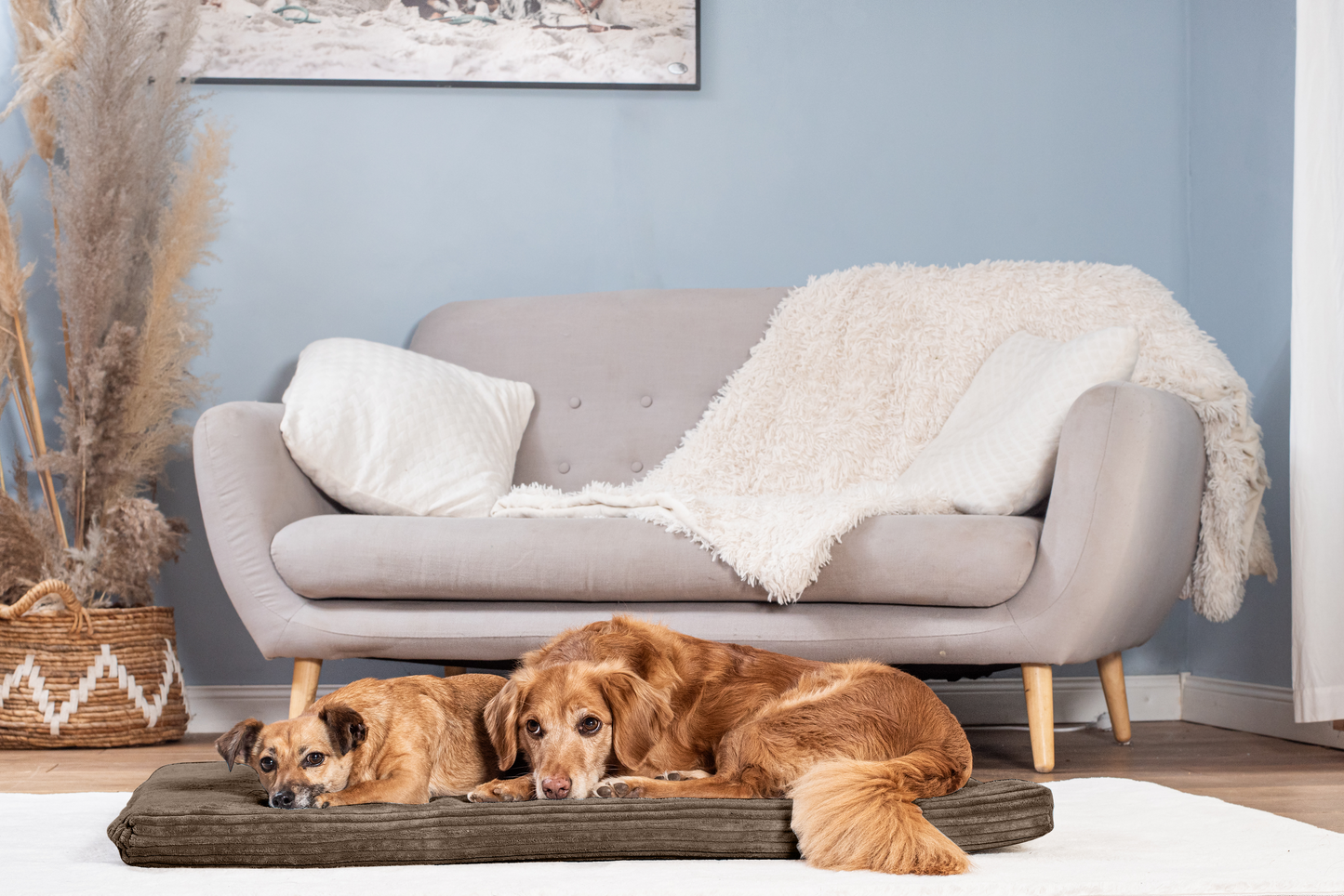 Hundeliegematte JOKKMOKK Cord
