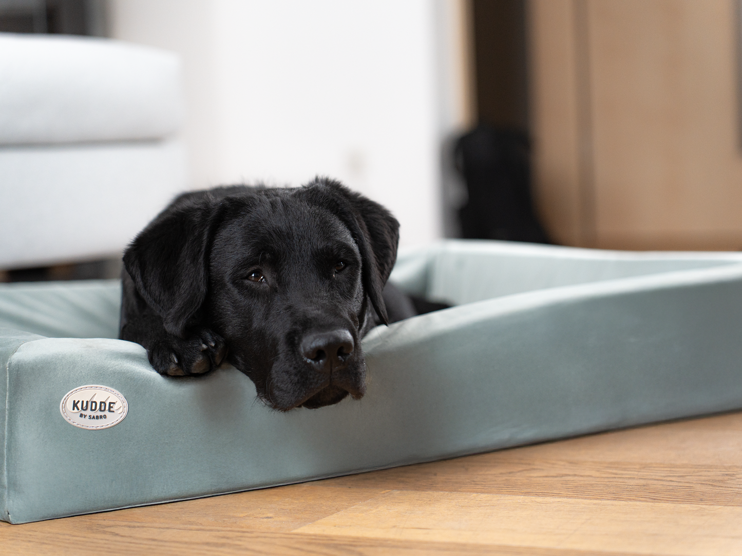 Bezug für KUDDE-Hundebett Samt