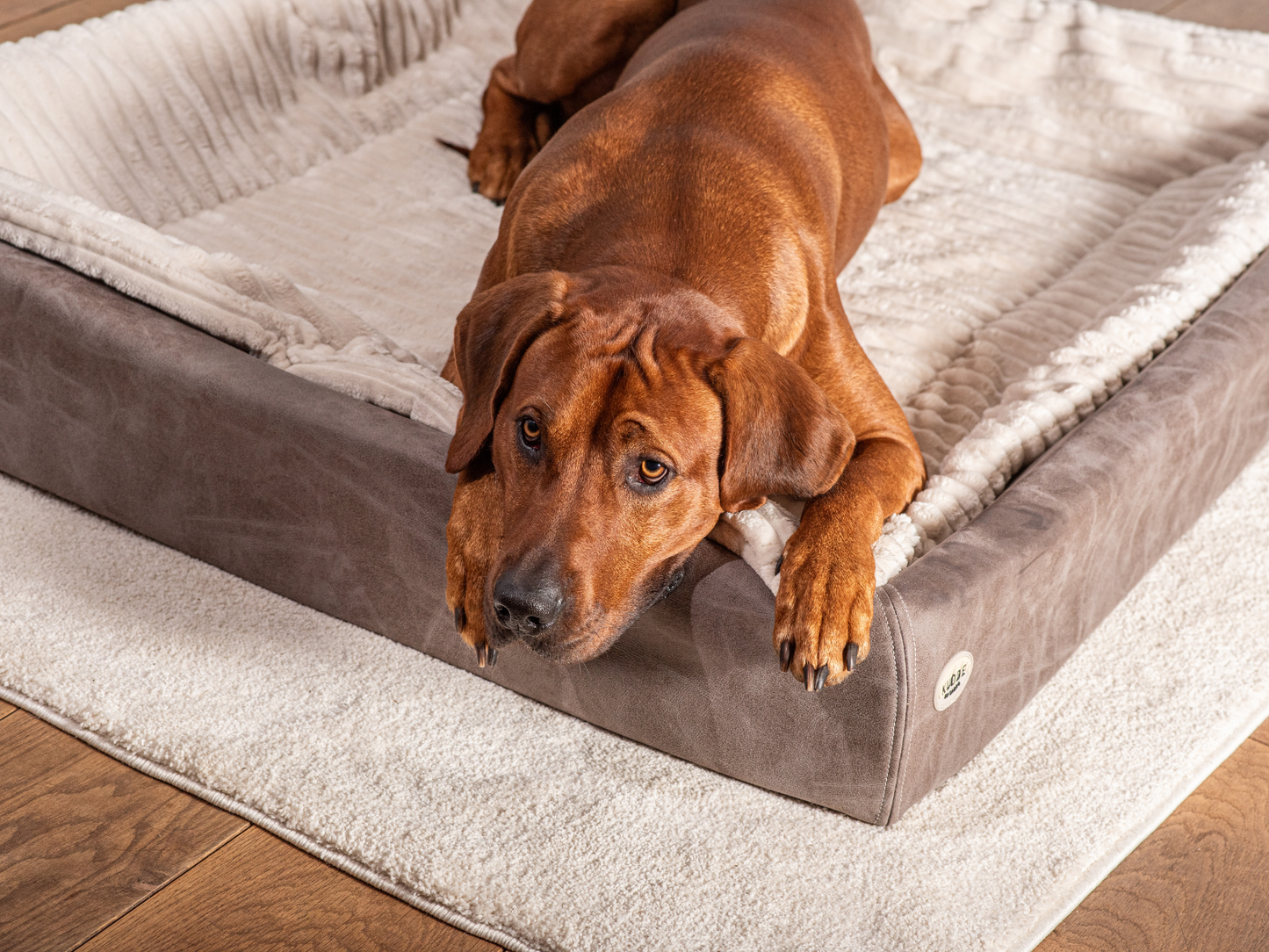 Hundebett KUDDE veganes Wildleder