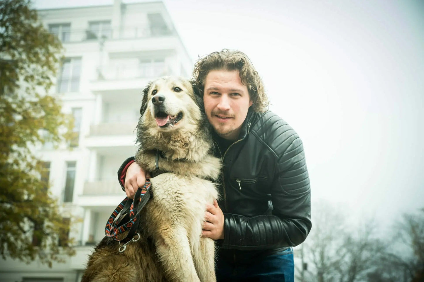 MyPetClub High Protein - Hundefutter