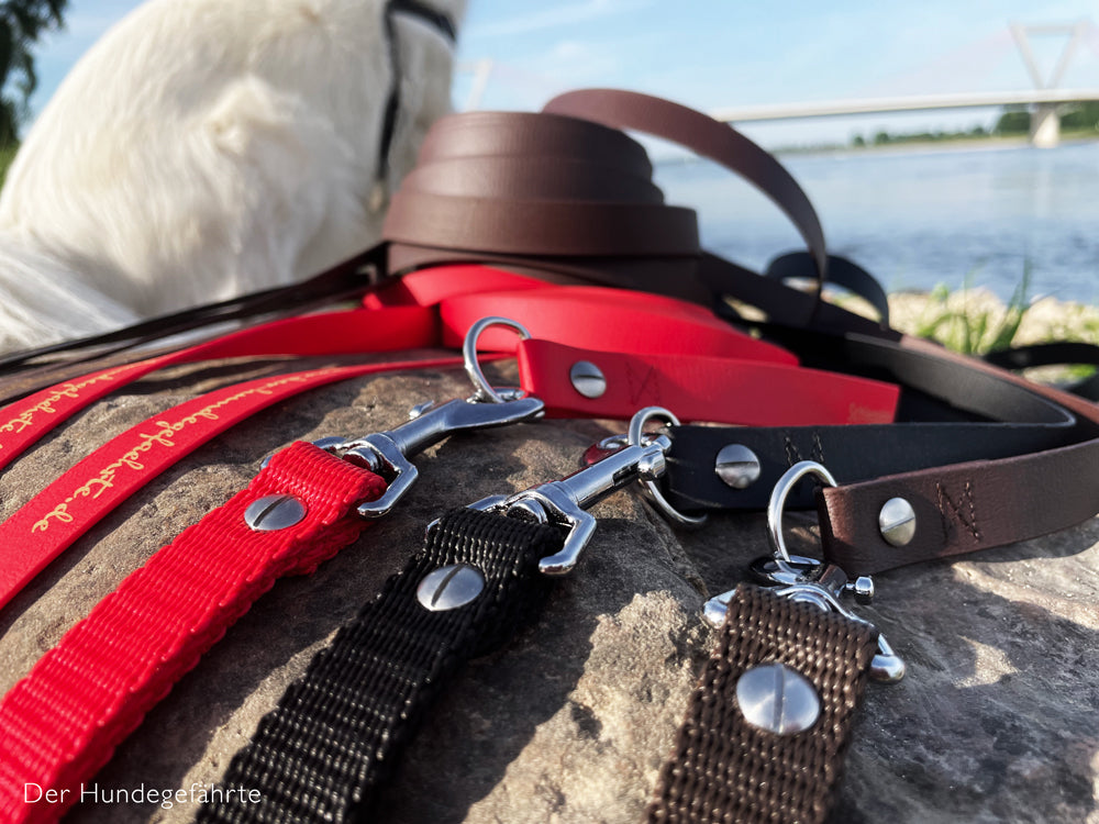 Doppel-Schleppleine FERNWEH aus BioThane®/POP - Band