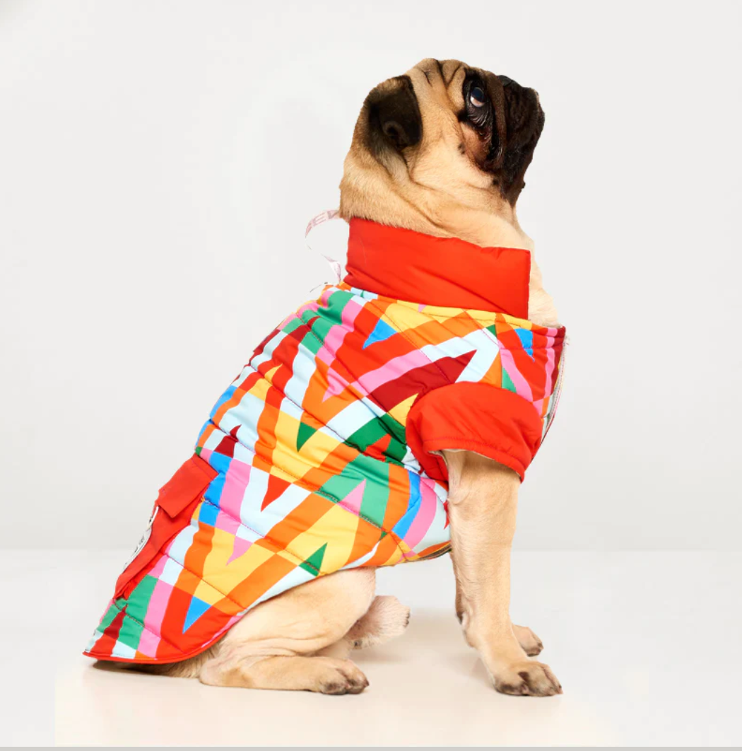 regenjacke für Hunde | Color Splash Wasserdichte Pufferjacke