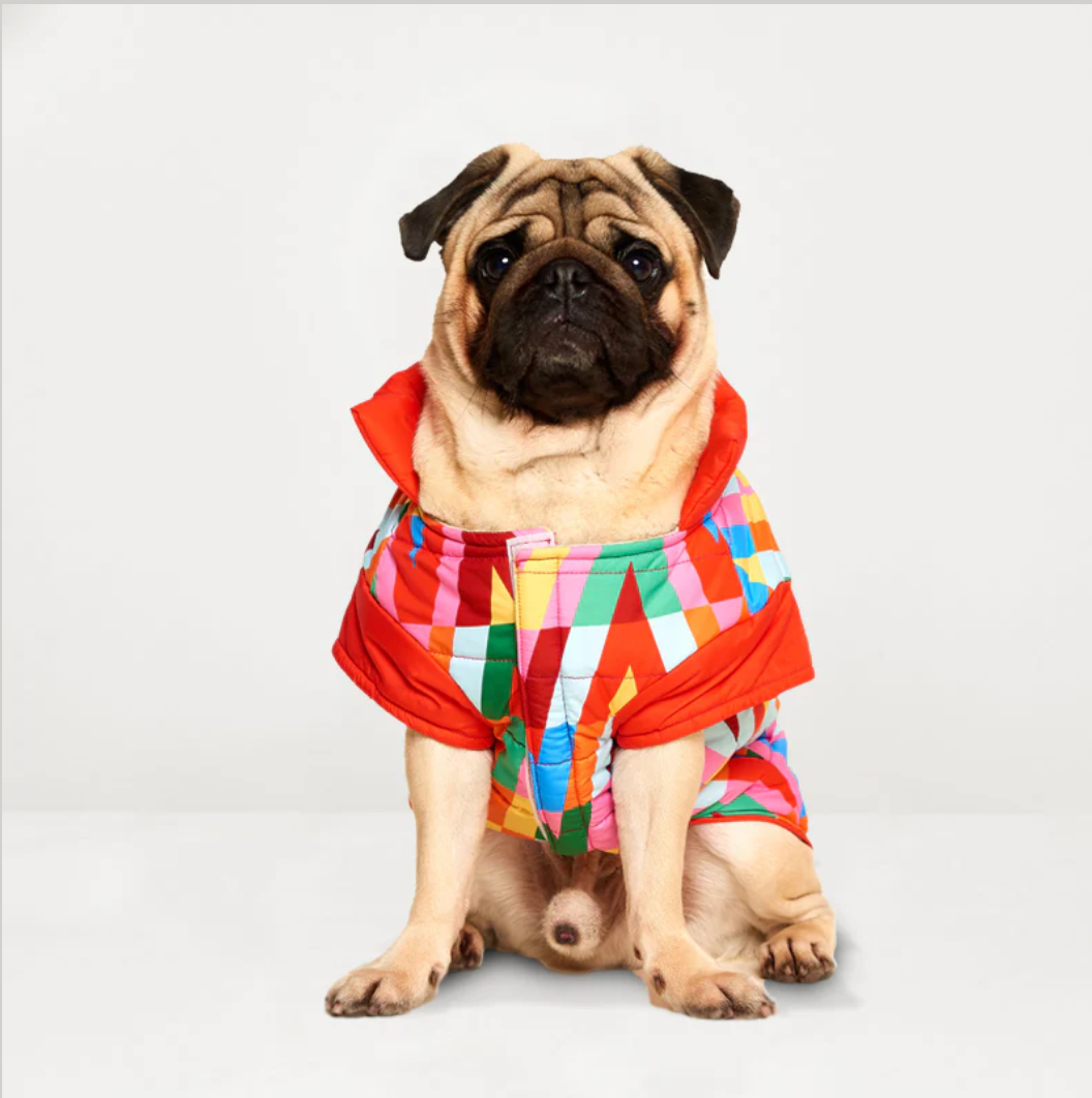 regenjacke für Hunde | Color Splash Wasserdichte Pufferjacke
