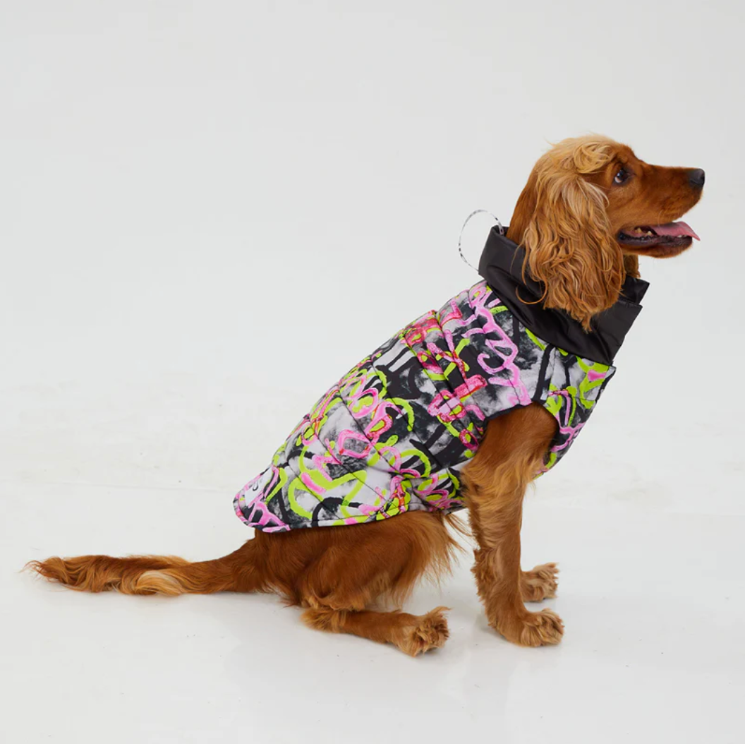 Graffiti Wasserdichte Pufferjacke - Hundejacke