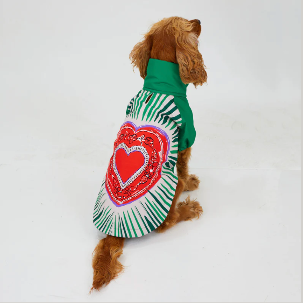 LoveShield Regenjacke - Hundejacke