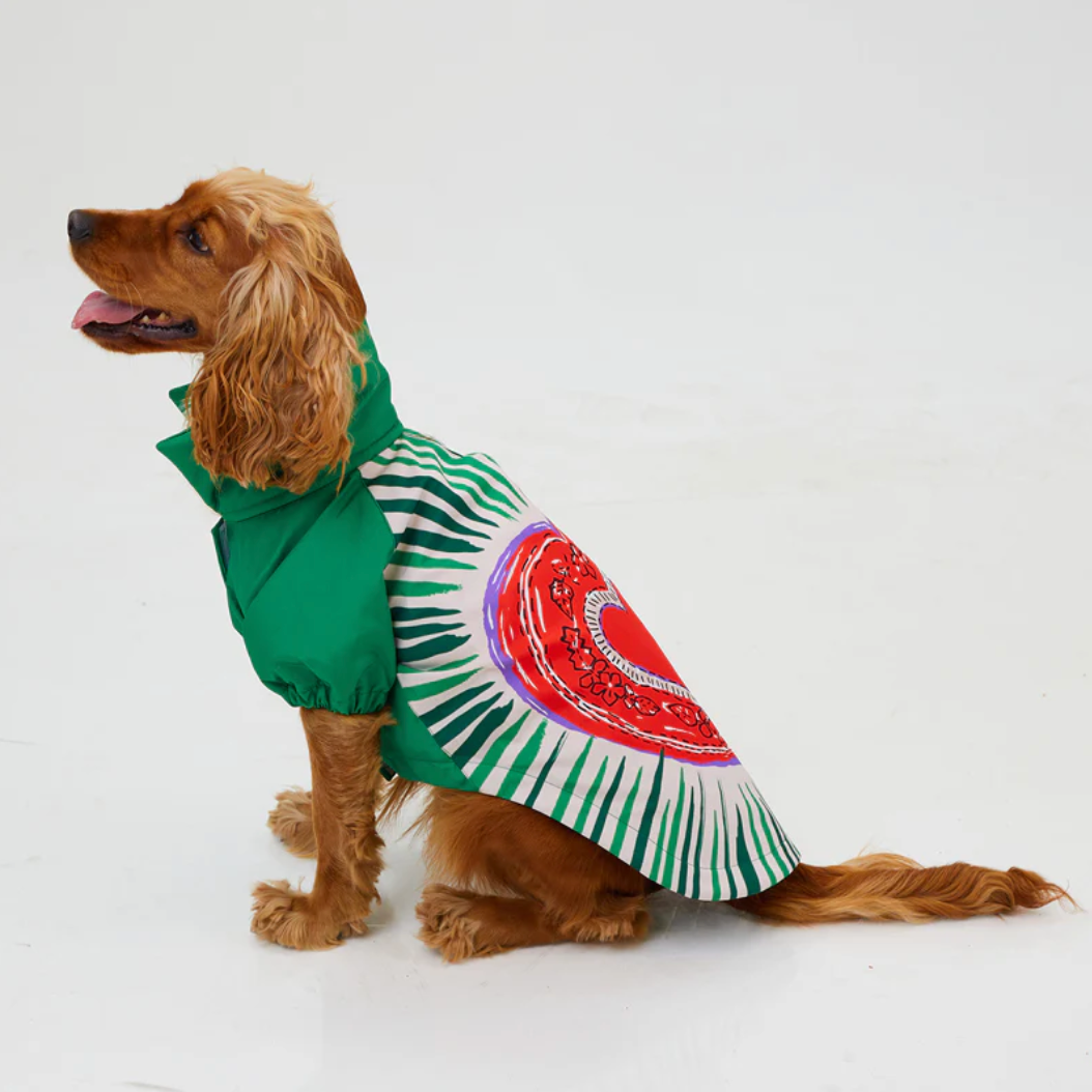 LoveShield Regenjacke - Hundejacke