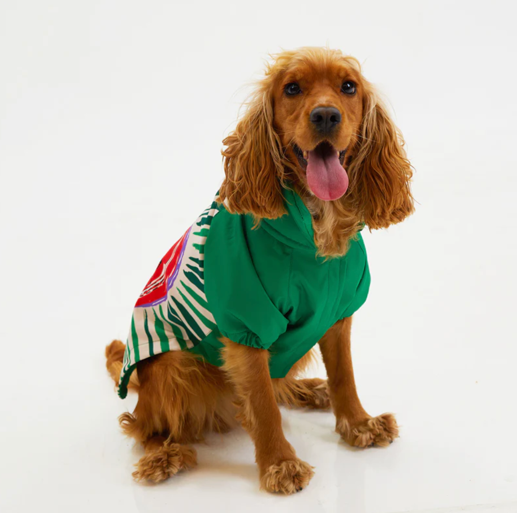 LoveShield Regenjacke - Hundejacke