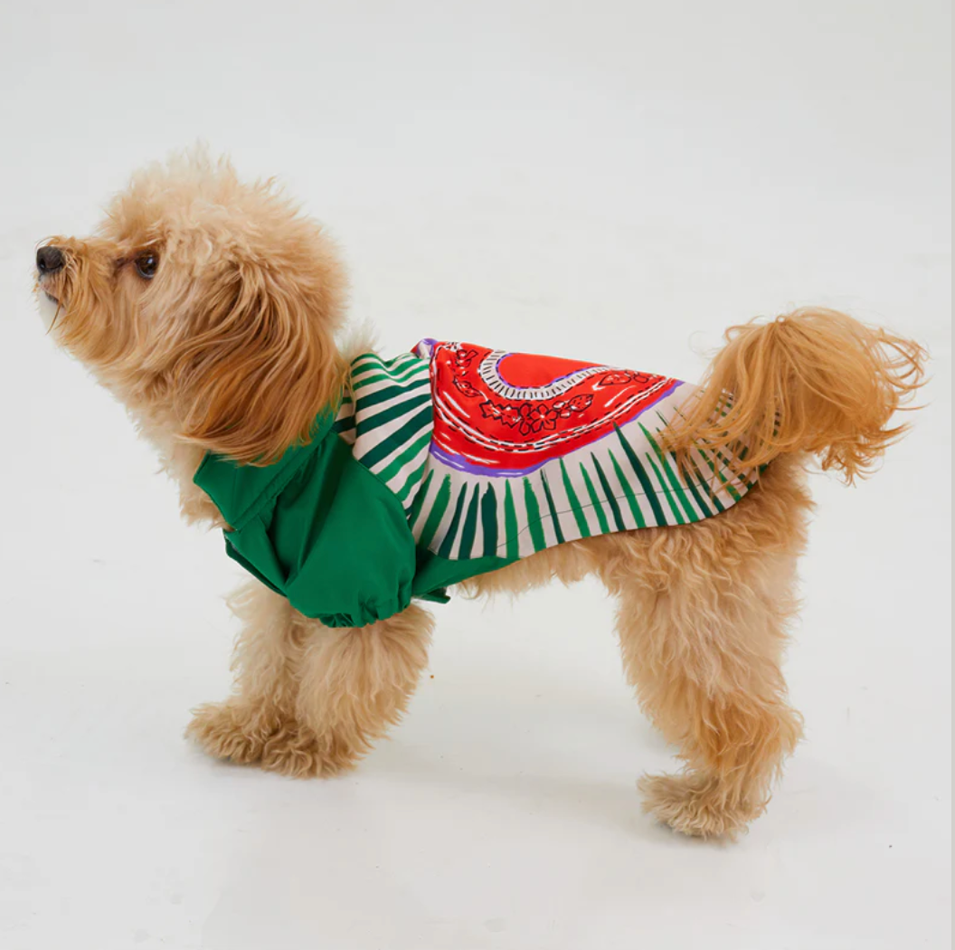LoveShield Regenjacke - Hundejacke