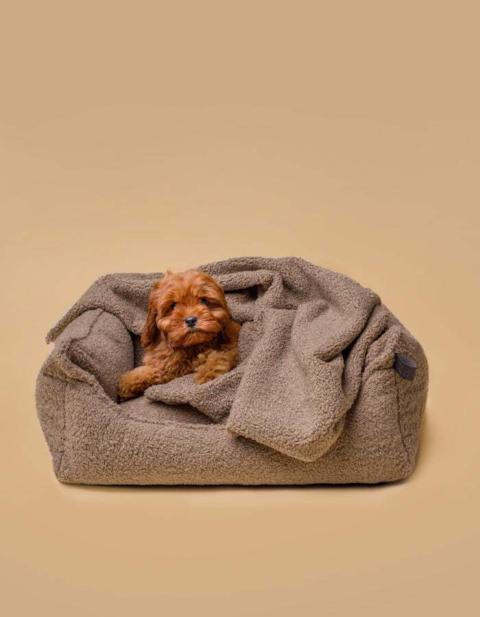 Kuscheldecke | Hundedecke MINKY gemütlich und umweltfreundlich aus recycelten PET