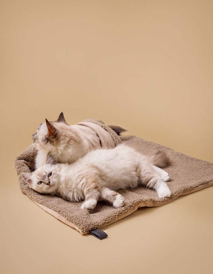 Kuscheldecke | Hundedecke MINKY gemütlich und umweltfreundlich aus recycelten PET