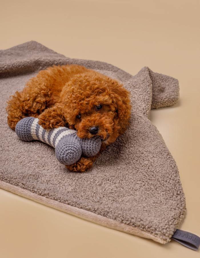 Kuscheldecke | Hundedecke MINKY gemütlich und umweltfreundlich aus recycelten PET