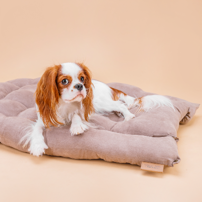 Leichte Matte mit Kissen, Hundebett mit drei verschiedenen Liegemöglichkeiten
