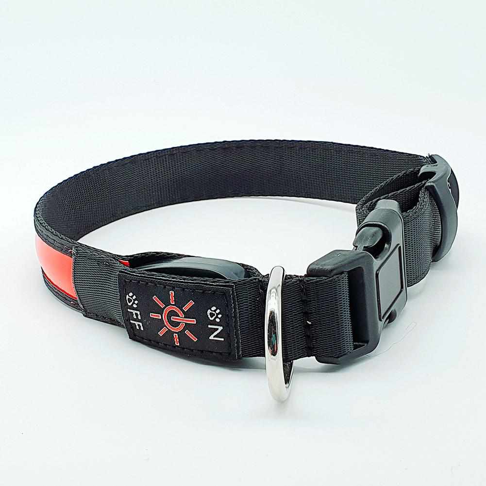 LED Hundehalsband, Stabiles Nylon mit USB Anschluß