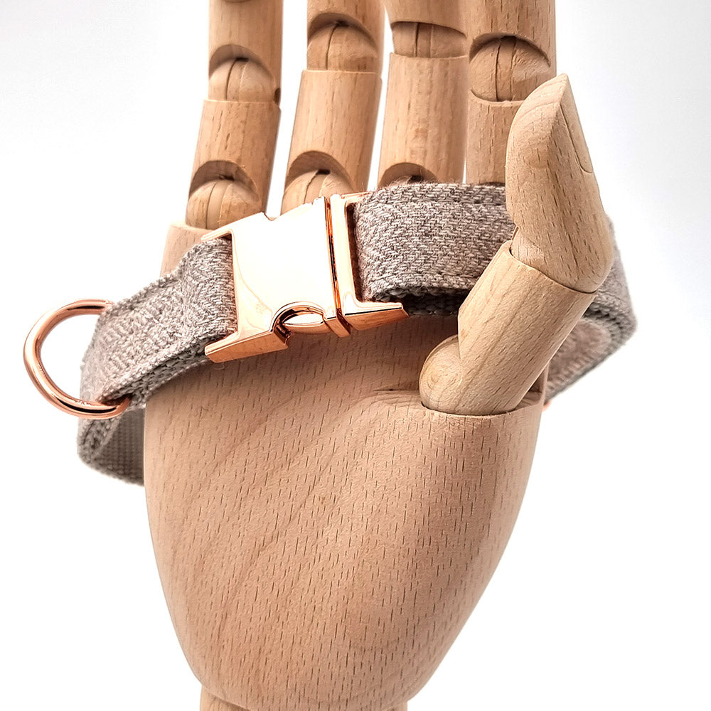 Süßes Hundehalsband mit Namen, graviert auf Schnalle