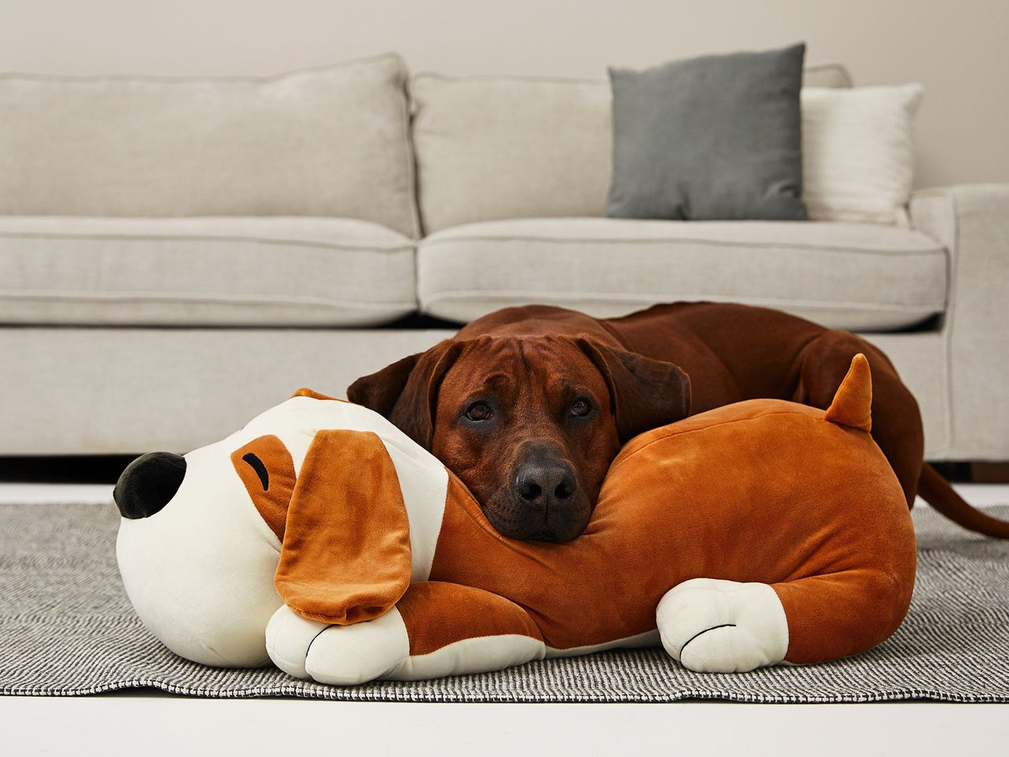 Kuschelspielzeug - Kuschelkumpel TOMMI