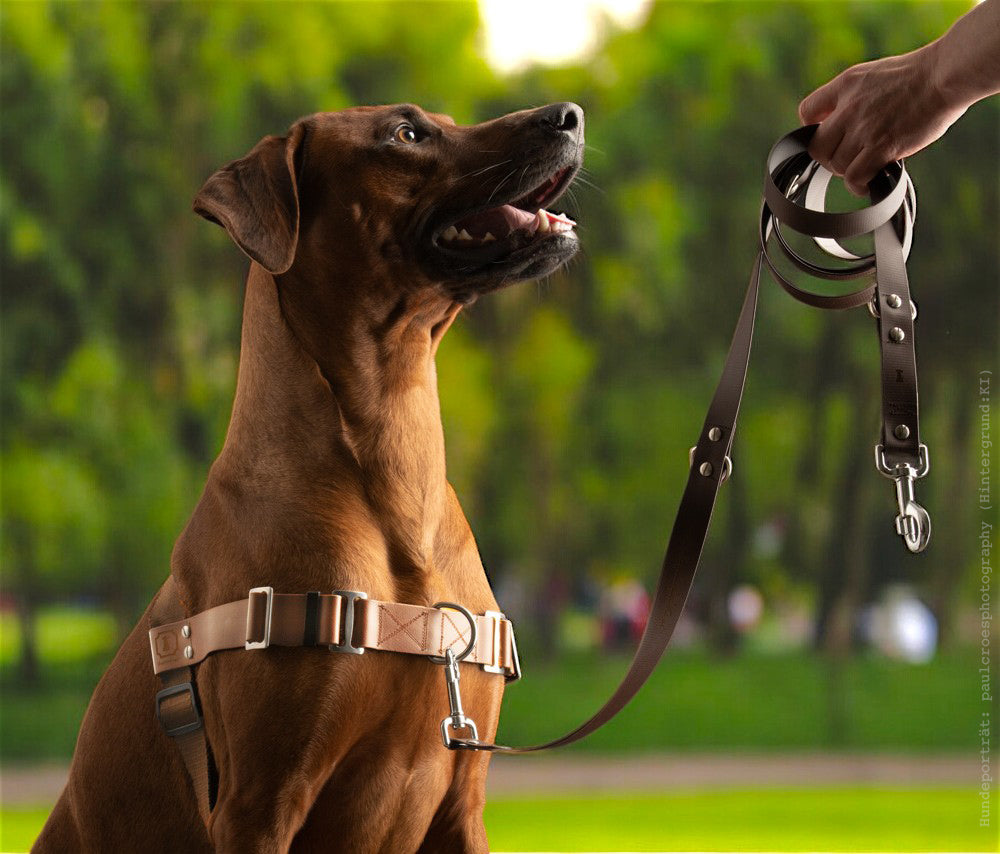 Anti-Stress-Geschirr STURMFREI®, Größe L