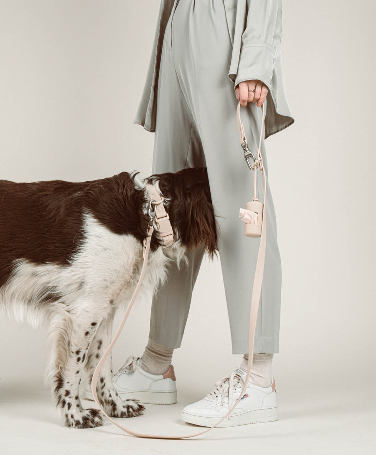 Bundle - Halsband | Hundeleine - Collar Set