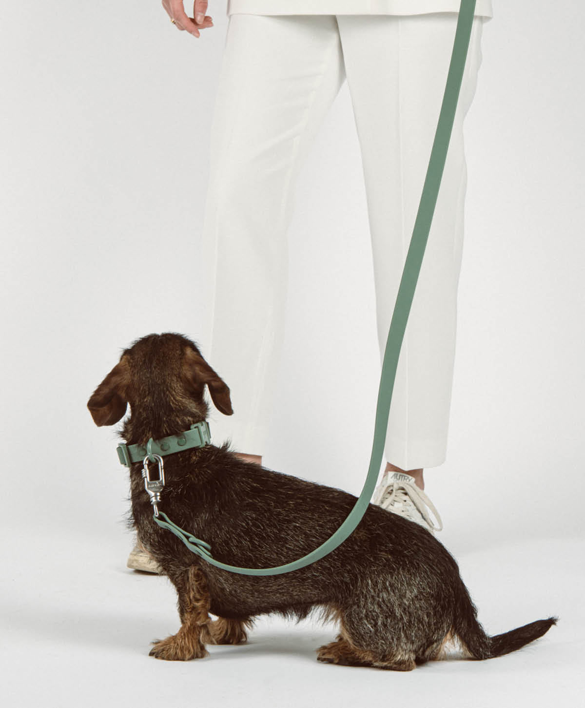 Bundle - Halsband | Hundeleine - Collar Set