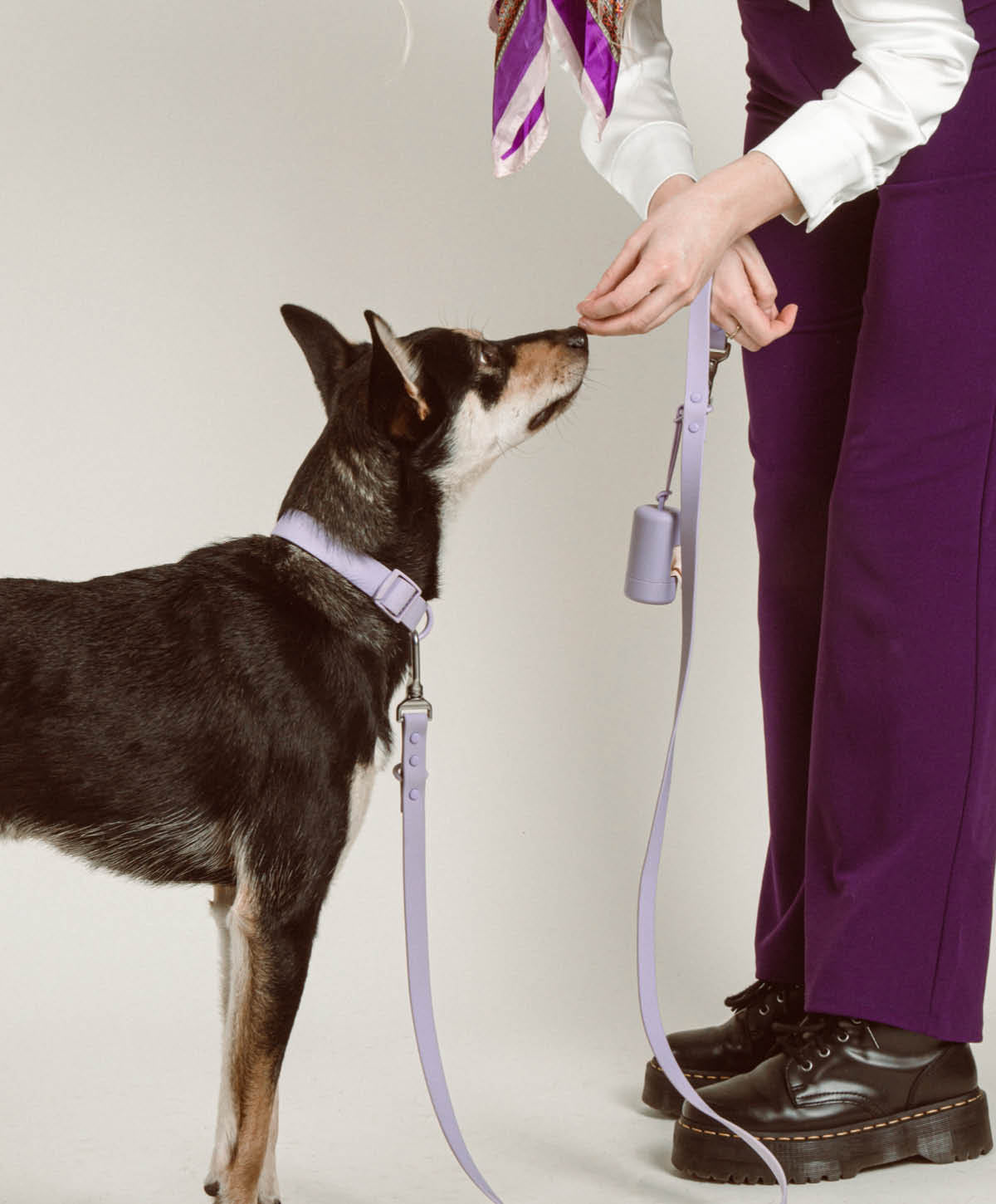 Bundle - Halsband | Hundeleine - Collar Set