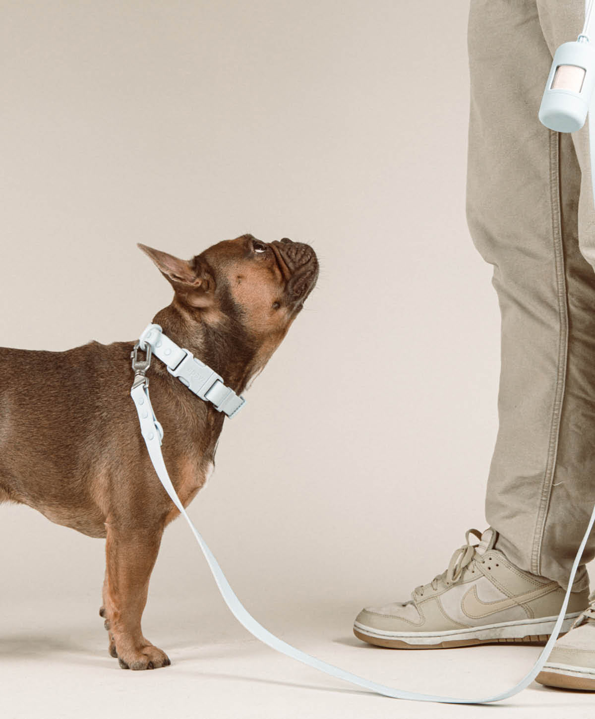 Bundle - Halsband | Hundeleine - Collar Set