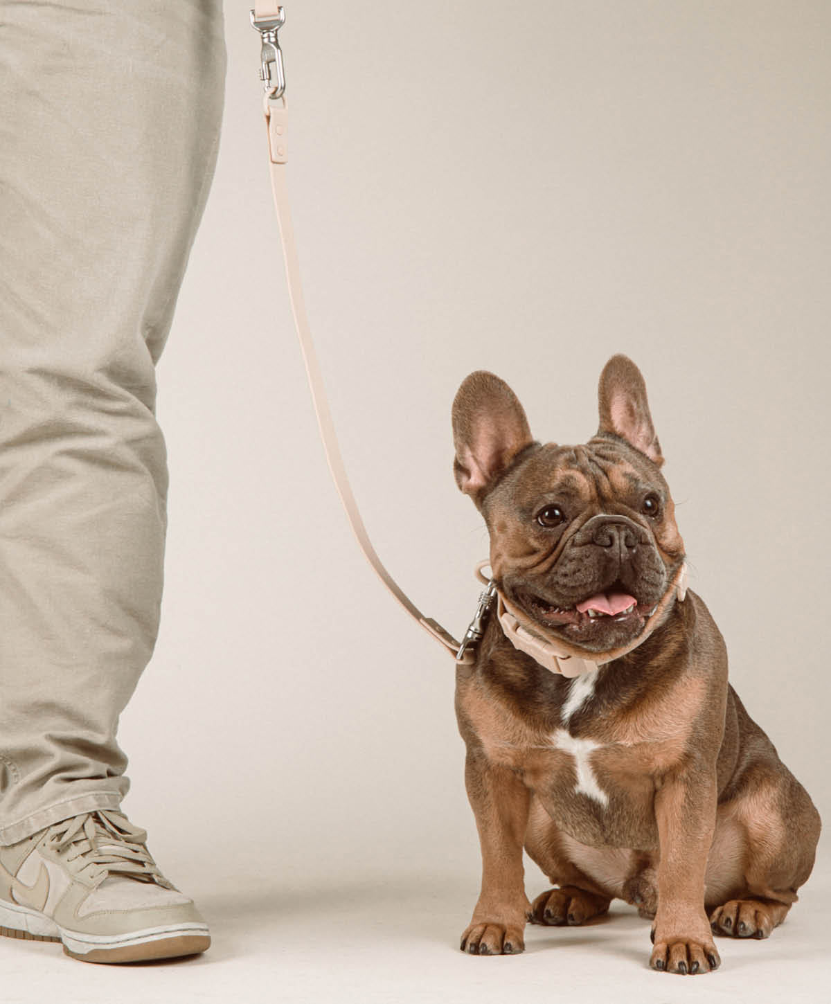 Bundle - Halsband | Hundeleine - Extension Set