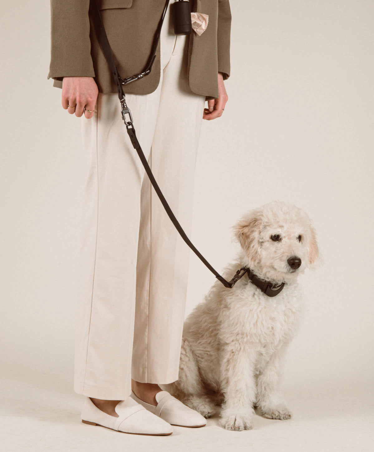 Bundle - Halsband | Hundeleine - Extension Set