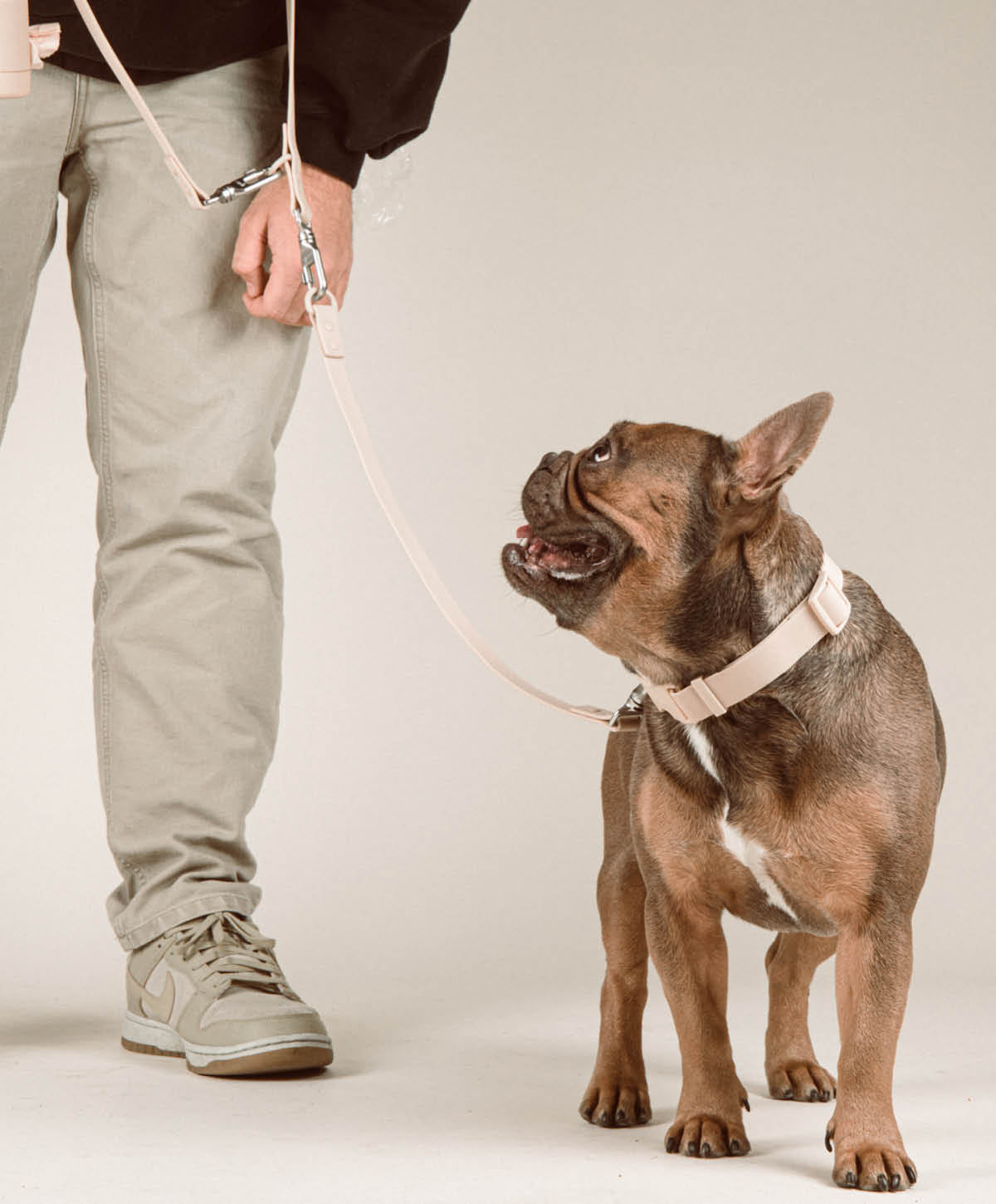 Halsband, Hundeleine - Walk Set