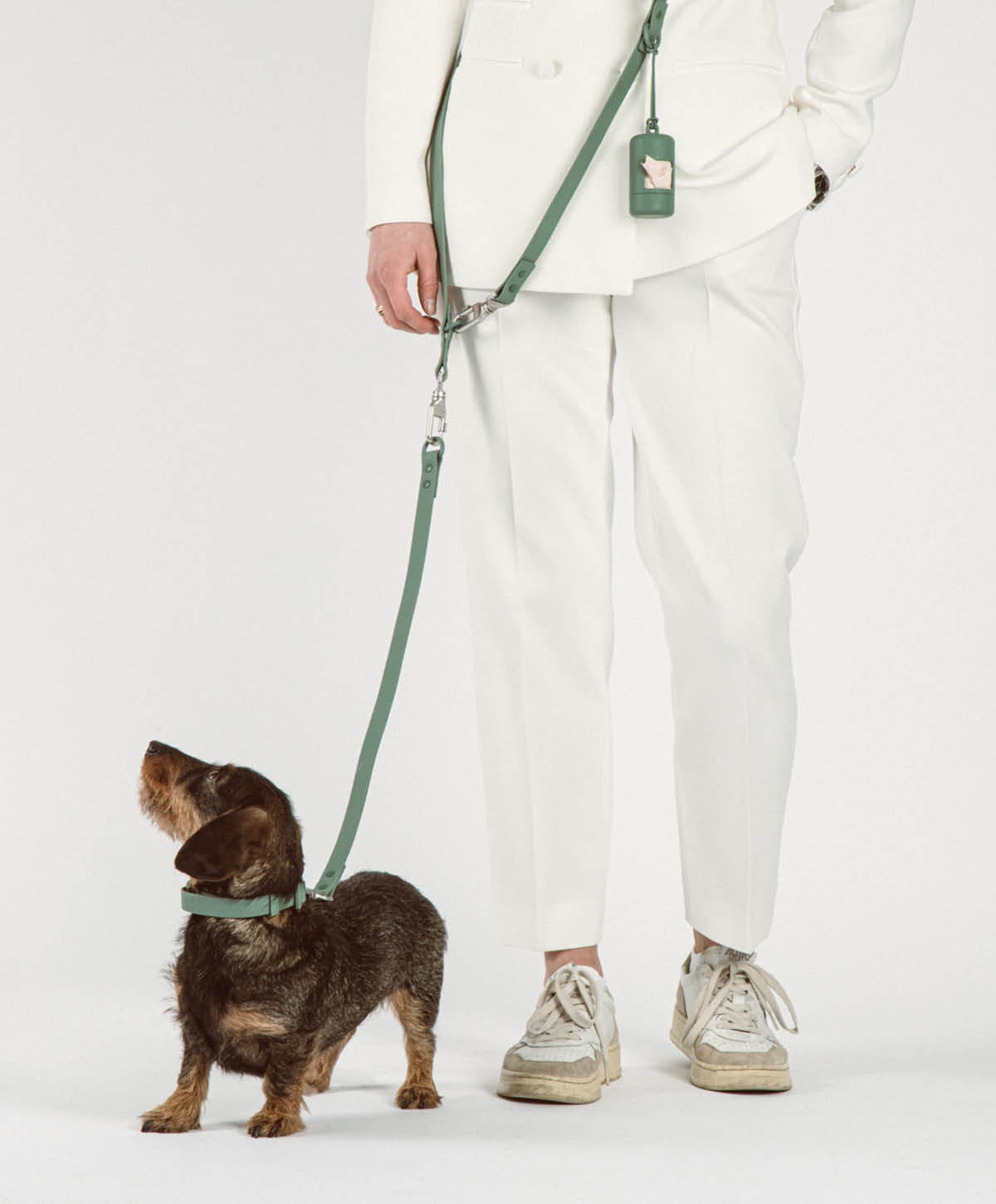 Halsband, Hundeleine - Walk Set