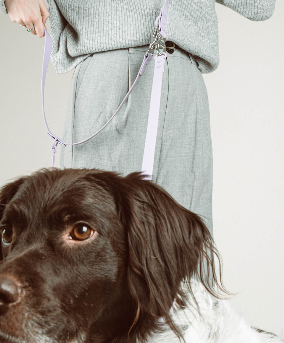 Bundle - Halsband | Hundeleine - Extension Set