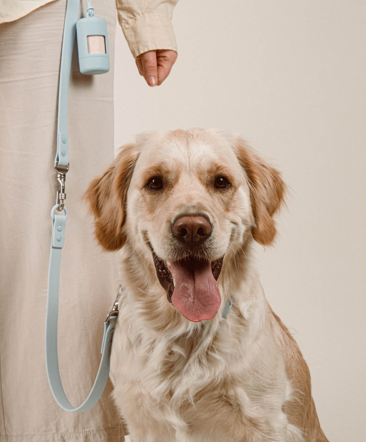 Bundle - Halsband | Hundeleine - Extension Set