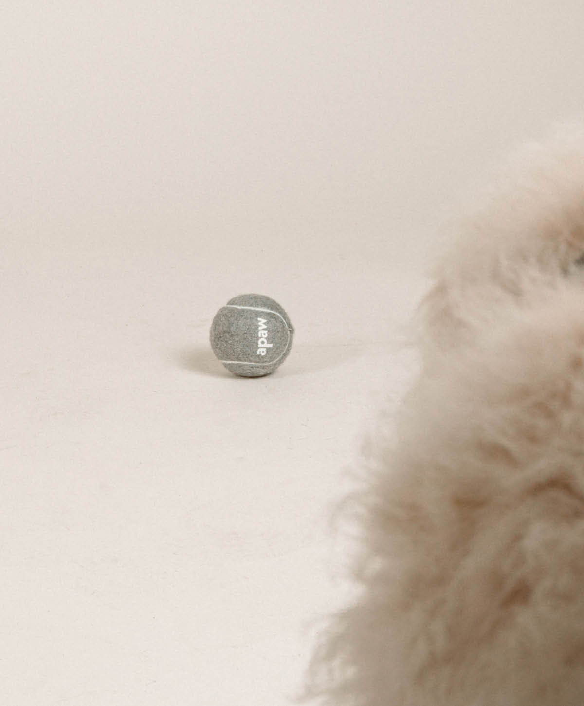 Hundespielzeug - Set