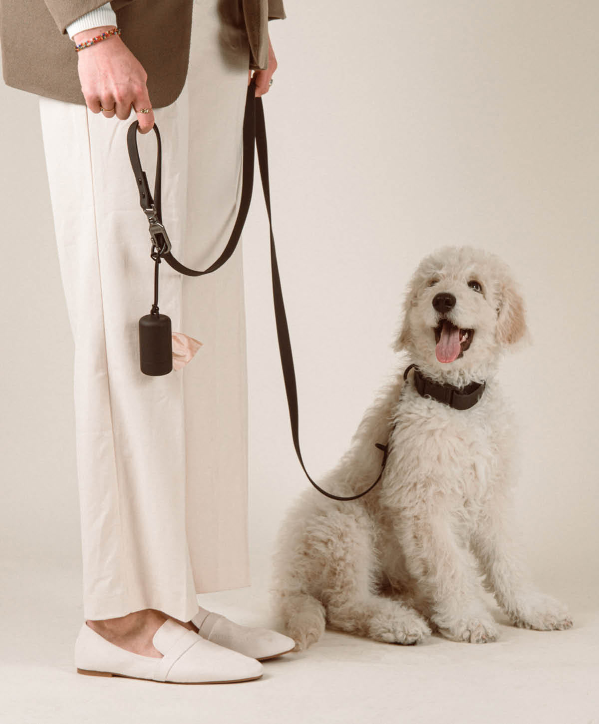 Halsband, Hundeleine - Walk Set