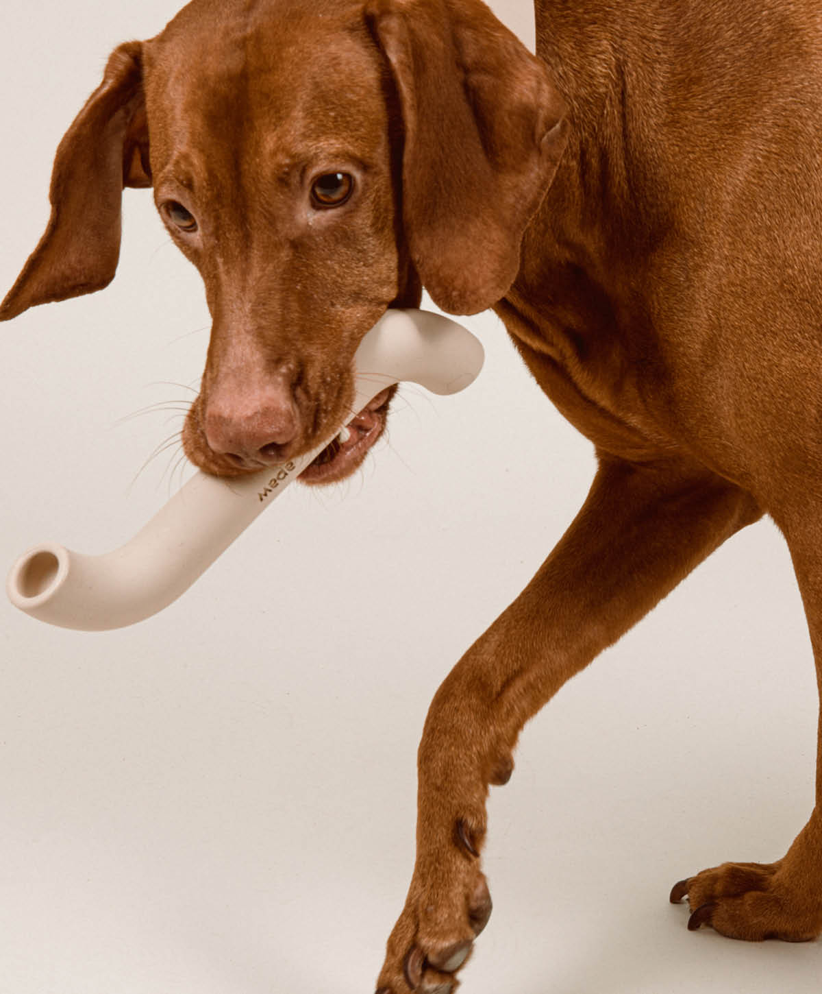 Hundespielzeug - Set