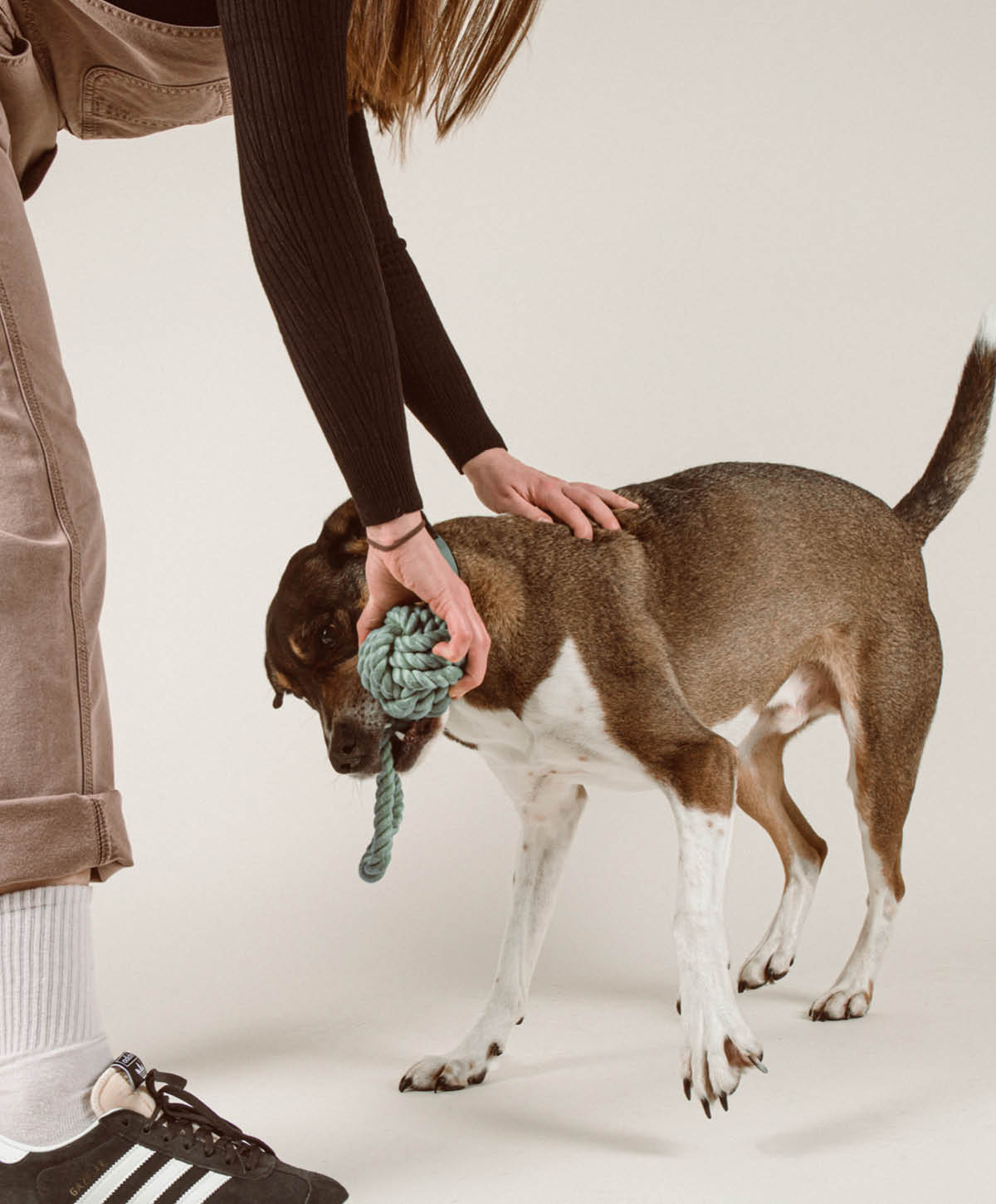 Hundespielzeug - Twisted Rope Toy