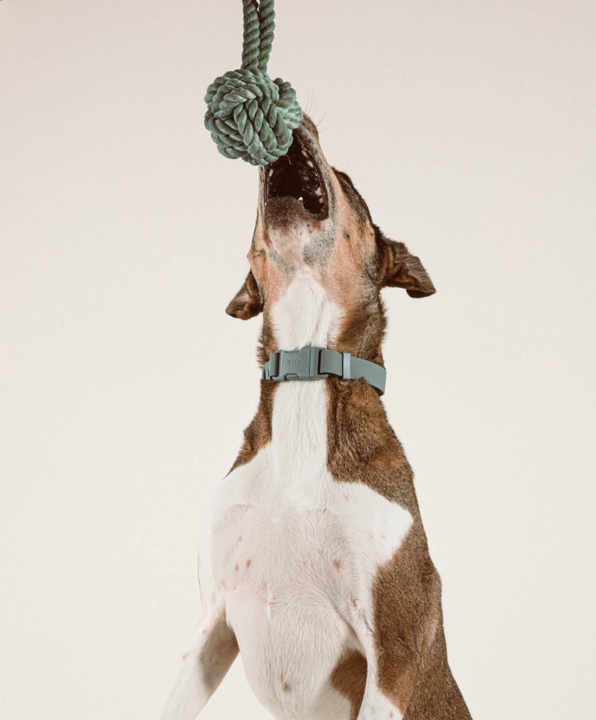 Hundespielzeug - Twisted Rope Toy